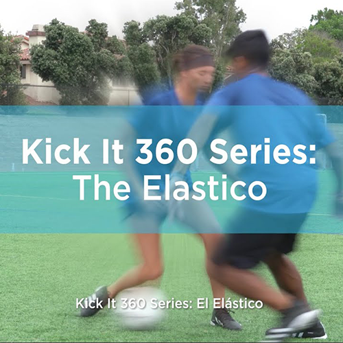 Elastico